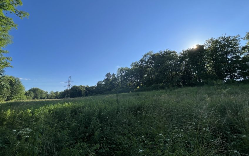 Działka do dzierżawy na tor quady, motocross